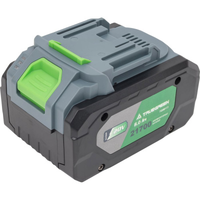 Аккумулятор TRUEGREEN TG8M173