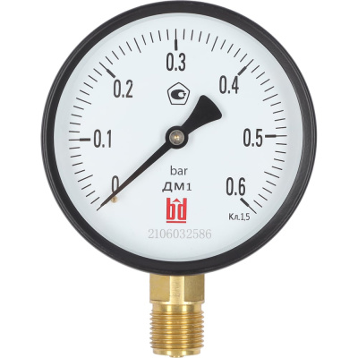 Манометр BD ДМ 1 Т2 100 Р (0-0,6) бар, кл.1,5, G1/2