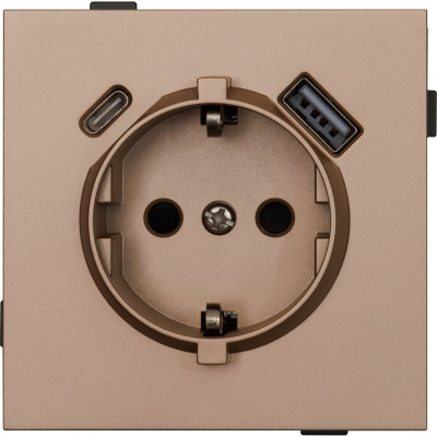 Одноместная USB/TYPE-C розетка ALTECH ENCORE 1SUCY скрытого монтажа с заземлением и шторками шампань механизм