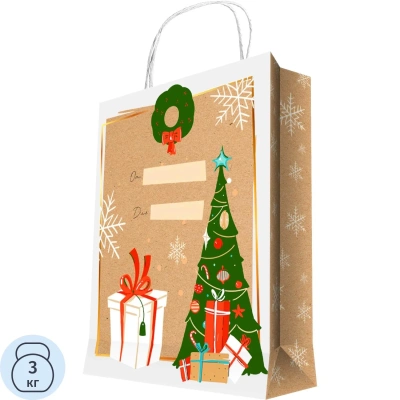 Пакет из крафт-бумаги, для сувенирной продукции 150 г/м2 26x33x10см 93168FE