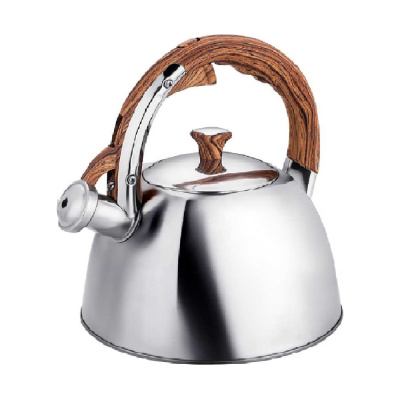 Чайник со свистком 3л Regent inox TEA