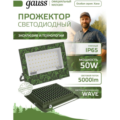 Прожектор светодиодный Elementary Gauss 50W 4500lm IP65 6500К ХАКИ GFD004