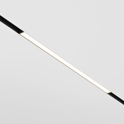 Трековый светильник MAYTONI exility TR030-2-12W4K-B