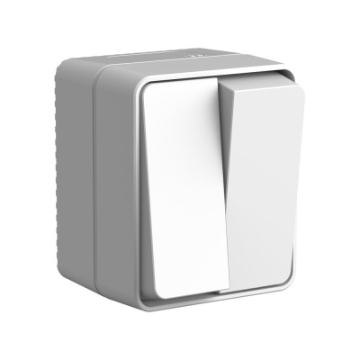 Выключатель 2-клавишный Systeme Electric AtlasDesign Profi IP54, 10 АХ, открытой установки, Серый