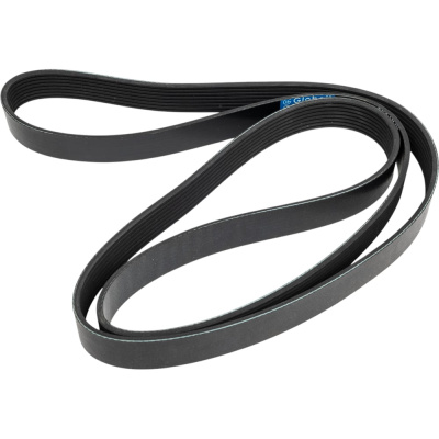 Поликлиновой ремень Globelt 8PK1920 EPDM