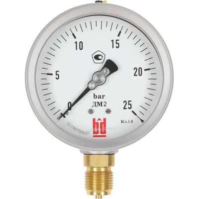 Манометр BD ДМ 2 100 Р (0-40) бар, кл. 1,0, G 1/2