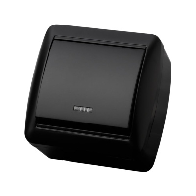 Выключатель TDM ELECTRIC 1-кл. открытой установки с подсветкой IP44 10А графит "Селигер"