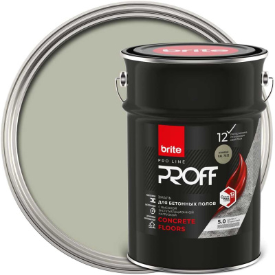 Эмаль BRITE PROFESSIONAL для бетонных полов кремниевый RAL 7032, ведро