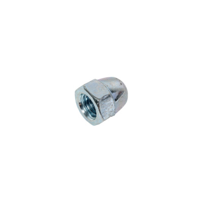 Колпачковая гайка STEELREX DIN 1587,цинк, М12, 25 шт.