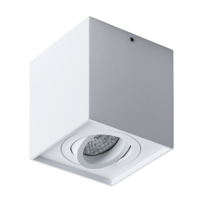 Потолочный светильник ARTE LAMP FACTOR A5544PL-1WH