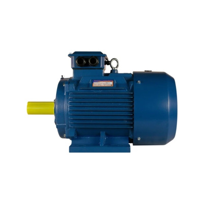 Электродвигатель 5АИ 280 М4 132/1500 IM 1001