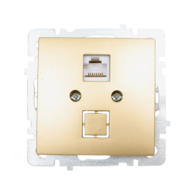 Механизм розетки NILSON 1СП комп золото Touran/Alegra metallic