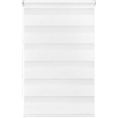 Рулонная штора LM DECOR День-Ночь LB 54-01 перламутровый, 100x160 см