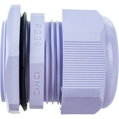 Сальник DKC PG - 36 (20-31 мм; IP68) 5шт