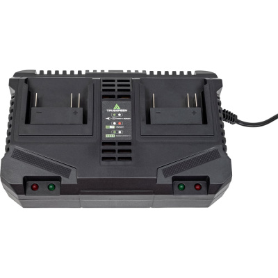 Зарядное устройство TRUEGREEN TG8M250