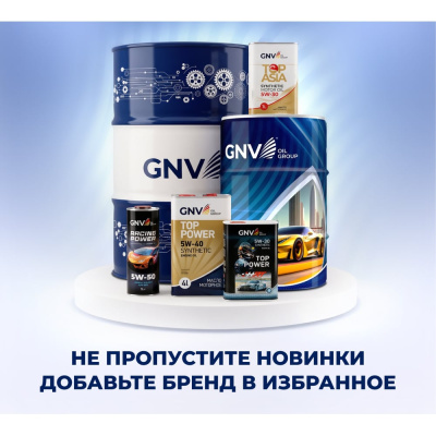 Смазка силиконовая GNV Silicone Grease, универсальная, аэрозоль, 520 мл