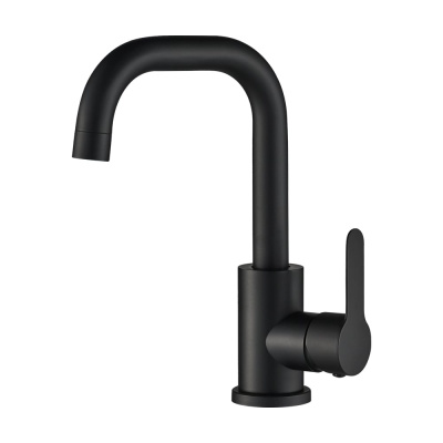 Смеситель для раковины Wesnaart eko EKO05-250Black
