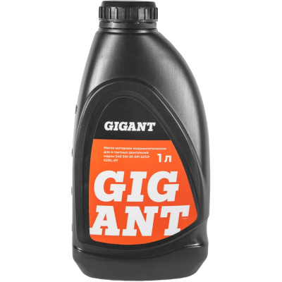 Масло 4-х тактное 5W30 1л Gigant