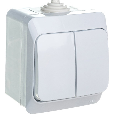 Двухклавишный выключатель Systeme Electric Этюд BA10-042B