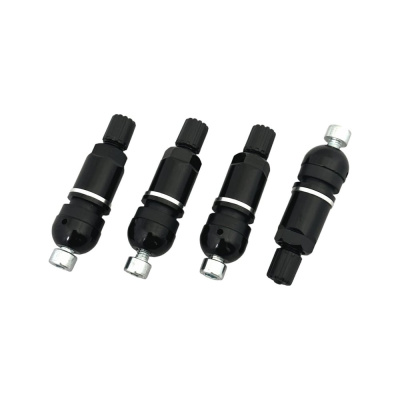 Комплект вентилей NORM под датчик TPMS-16B