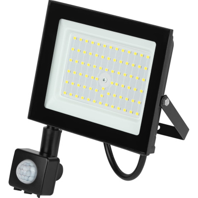 Прожектор светодиодный уличный ЭРА RED LINE LPR-024-2-65K-100 100Вт 6500K IP65 рег ИК датчик движения