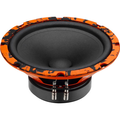 Акустическая система DL AUDIO Gryphon Pro 200 Midbass