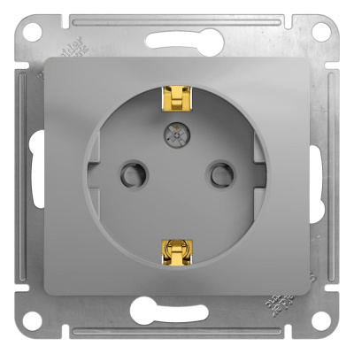 Розетка Systeme Electric Алюминий с заземлением со шторками GSL000345