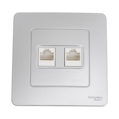 Компьютерная розетка Systeme Electric Blanca внутр Алюминий 2-ая RJ45 SE