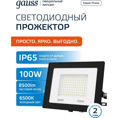 Светодиодный прожектор GAUSS Elementary 100W