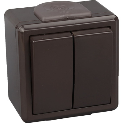 Выключатель 2-кл. IP55 серия ПРАЛЕСКА АКВА BYLECTRICA А510-2132 шоколад