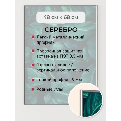 Фоторамка серебристая алюминиевая рамка 48x68 см Niel-2sm-48x68 Niel-2sm-48х68