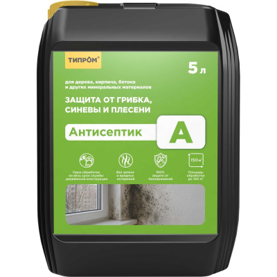 Невымываемый антисептик ТИПРОМ А 5л для дерева, камня, бетона