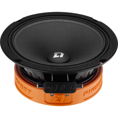 Акустическая система DL AUDIO Phoenix Sport 165