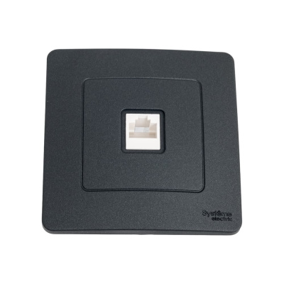 Компьютерная розетка Systeme Electric Blanca внутр Антрацит RJ45 SE
