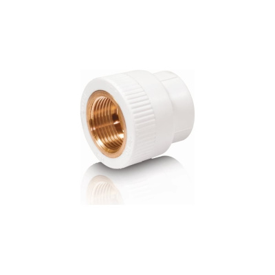 Комбинированная муфта Blue Ocean PPRF/IA(W)-32х3/4"
