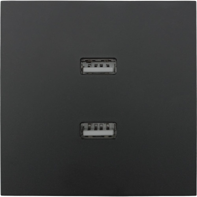 Розетка 2-ая USB разъем Lezard ZIMA черный бархат
