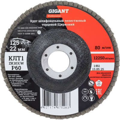 Круг лепестковый 125x22,2 мм; P60; цирконий, 10 шт Gigant