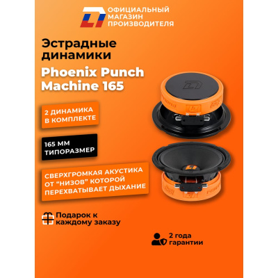 Акустическая система DL AUDIO Phoenix Punch Machine 165