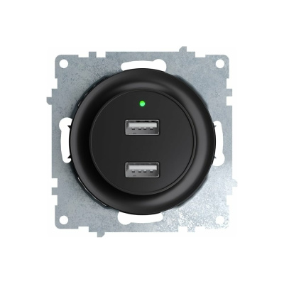 Двойная USB розетка с подсветкой OneKeyElectro, цвет черный