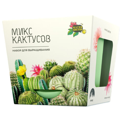 Набор для выращивания растений МАГИЯ ЦВЕТОВ "Кактусы микс" (горшок, грунт, семена), mf-003
