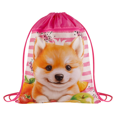 Мешок для обуви 1 отделение ArtSpace "Cute animals", 340*420мм, карман