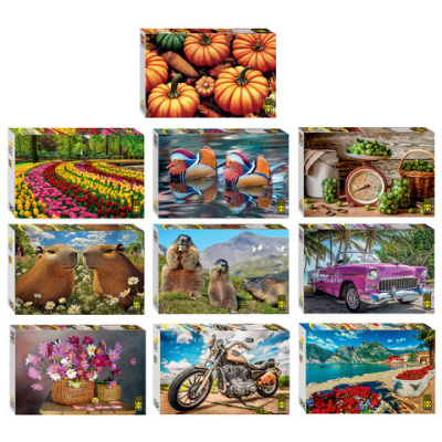 Пазл картонный, 500 элементов, АССОРТИ, поле 50х34,5 см, STEP PUZZLE