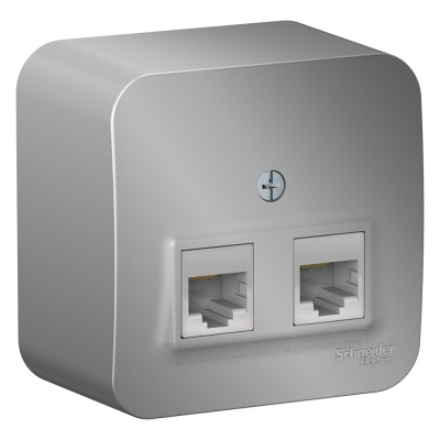 2-ая наружная компьютерная розетка Systeme Electric Blanca Алюминий, RJ45, категория 5E SE