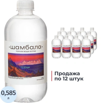 Вода минеральная Шамбала Горная природная негаз ПЭТ 0,585л