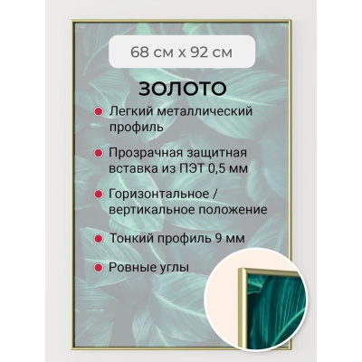 Фоторамка золотистая алюминиевая рамка 92x68 см Niel-2gm-92x68 Niels-2gm-92х68