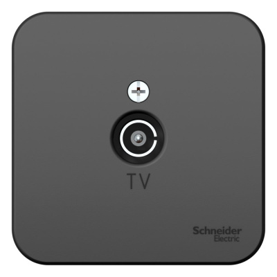 TV розетка Systeme Electric Blanca наруж Антрацит изолир
