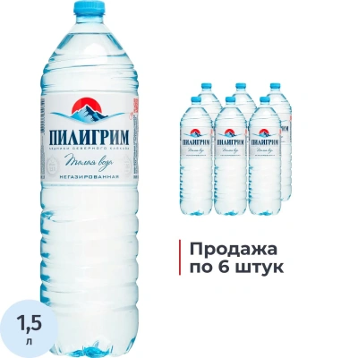 Вода питьевая Пилигрим талая ледниковая негаз ПЭТ 1,5л