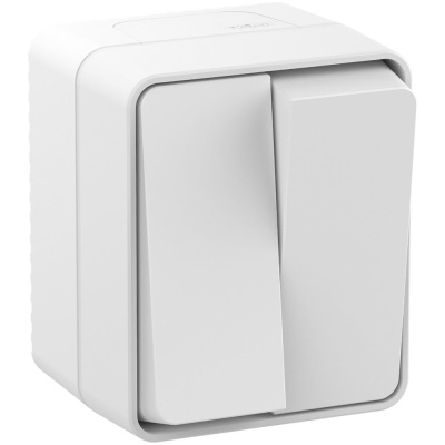 Двухклавишный выключатель Systeme Electric AtlasDesign PROFI