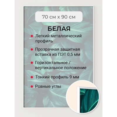 Фоторамка белая алюминиевая рамка 70x90 см Niel-2wg-70x90 Niel-2wg-70х90