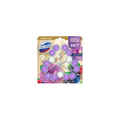 Блок для очищения унитаза POWER 5 TRIO DOMESTOS сказочный аромат
